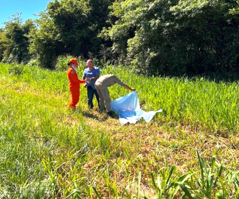 Populares encontram mulher morta às margens de rodovia em Ivinhema