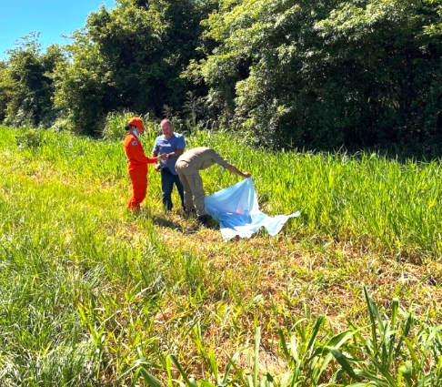 Populares encontram mulher morta às margens de rodovia em Ivinhema