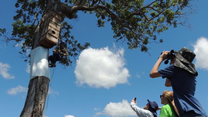 Destaque nacional: Mato Grosso do Sul é Top 3 no concurso de turismo sustentável da Embratur