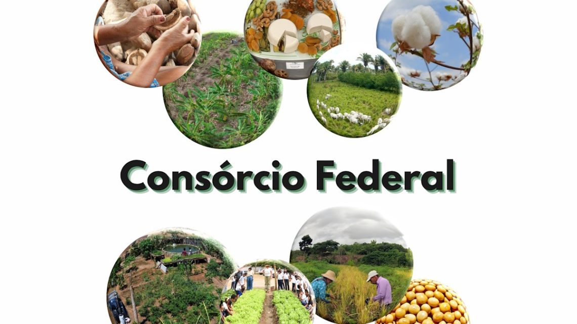 Tecnologias da Embrapa marcam presença na 2ª Feira Maranhense de Agricultura Familiar 