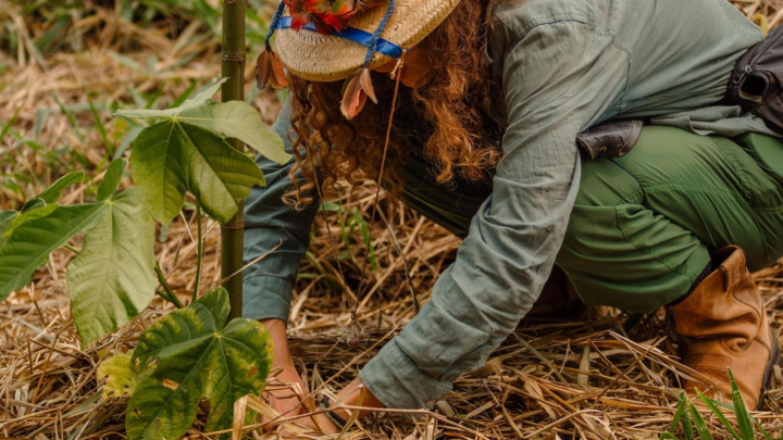 Grupo Pereira patrocina projeto de reflorestamento “Mil Pelo Planeta” no Pantanal