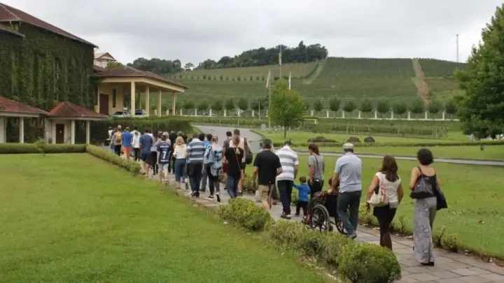 Vinícola Miolo aberta para o Natal nos Vinhedos