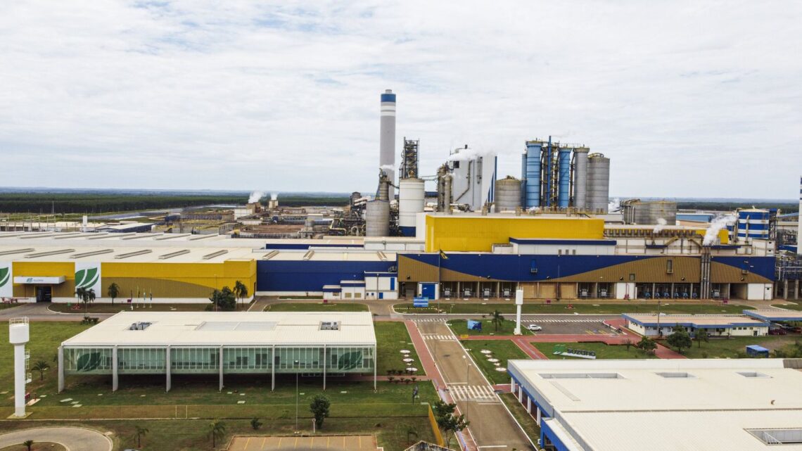 Suzano realiza Parada Geral nas duas fábricas de Três Lagoas