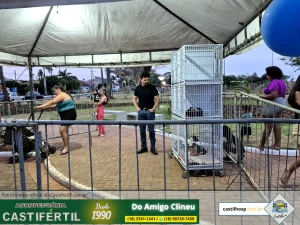 Prova de Fogo: Castilho Leva Estratégia Pedagógica para as Ruas e Reúne Milhares no Dia da Criança 2025 47 20251008 181902dia da crianca em castilho sp