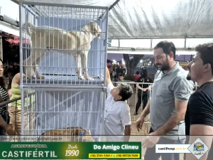 Prova de Fogo: Castilho Leva Estratégia Pedagógica para as Ruas e Reúne Milhares no Dia da Criança 2025 66 20251008 183905dia da crianca em castilho sp