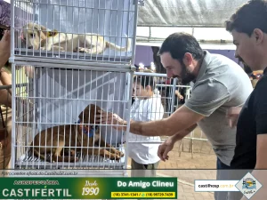 Prova de Fogo: Castilho Leva Estratégia Pedagógica para as Ruas e Reúne Milhares no Dia da Criança 2025 65 20251008 183912dia da crianca em castilho sp