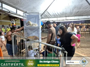 Prova de Fogo: Castilho Leva Estratégia Pedagógica para as Ruas e Reúne Milhares no Dia da Criança 2025 64 20251008 184213dia da crianca em castilho sp