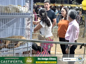 Prova de Fogo: Castilho Leva Estratégia Pedagógica para as Ruas e Reúne Milhares no Dia da Criança 2025 31 20251008 193608dia da crianca em castilho sp