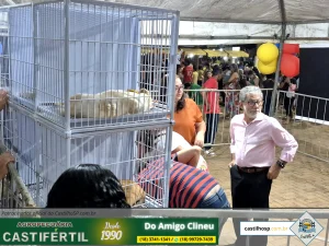 Prova de Fogo: Castilho Leva Estratégia Pedagógica para as Ruas e Reúne Milhares no Dia da Criança 2025 29 20251008 193651dia da crianca em castilho sp