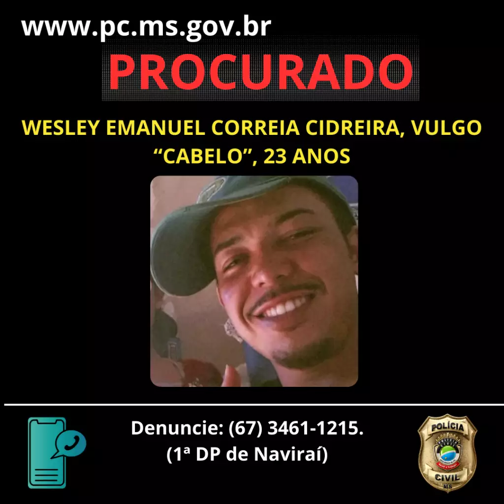copia de wwwpc ms gov br 1 1024x1024 1