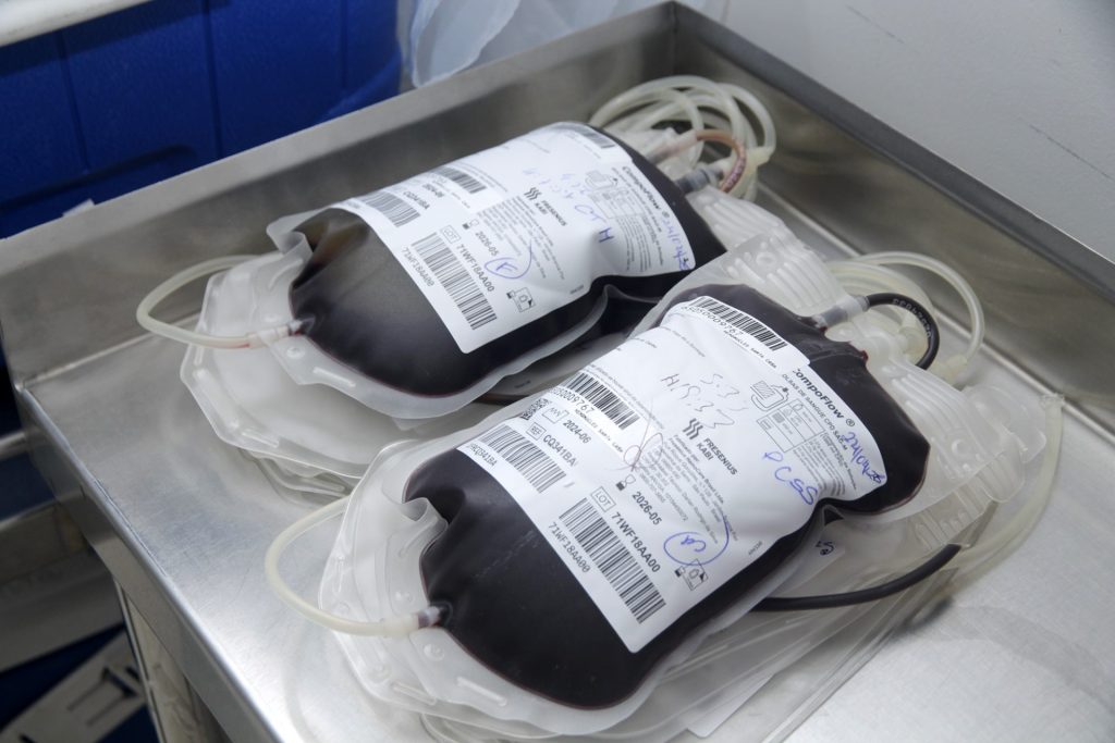 doacao de sangue no hemosul 11 abr25 foto rachid waqued scaled 1