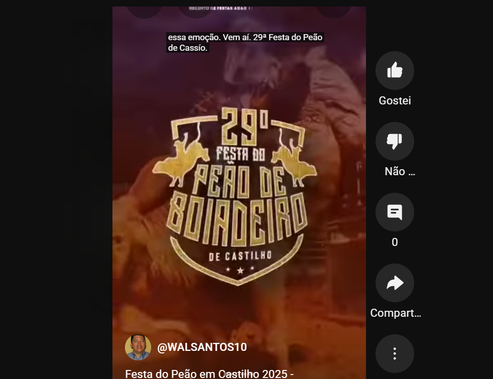Festa do peão em castilho 2025